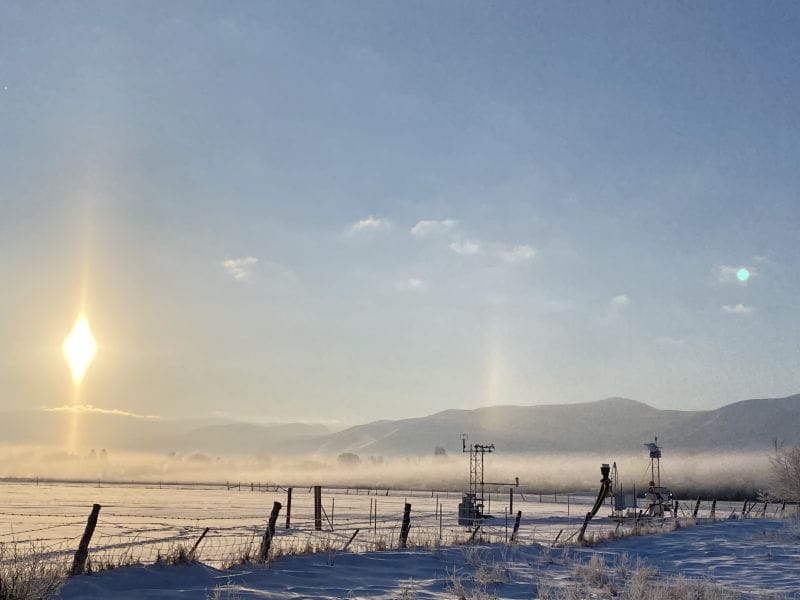 Studying cold fog in mountainous terrains