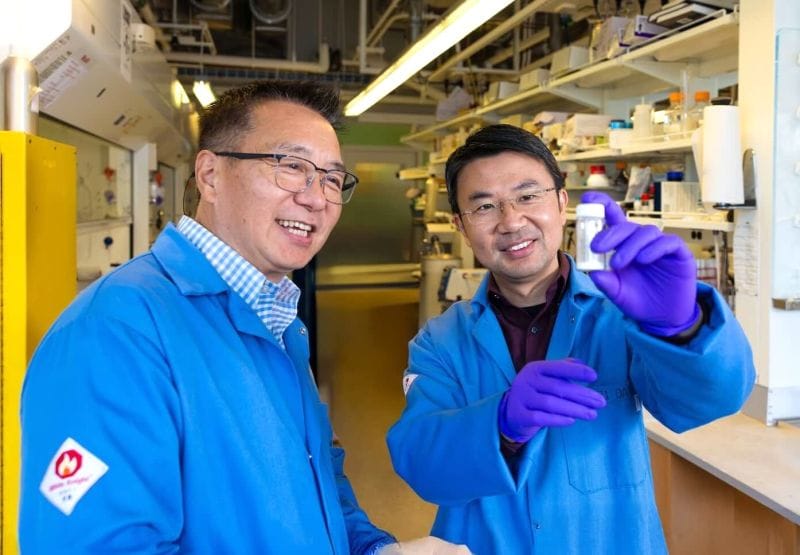 Lab-synthesized botanical compound shows promise for fighting aggressive breast cancer