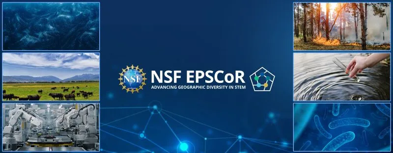 NSF invests $29.2 million in EPSCoR Research Infrastructure collaborations for transformative impact across 11 jurisdictions